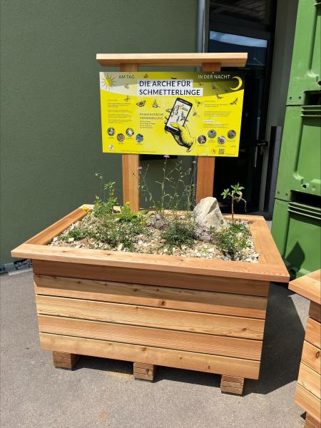 Schmetterlings- Arche